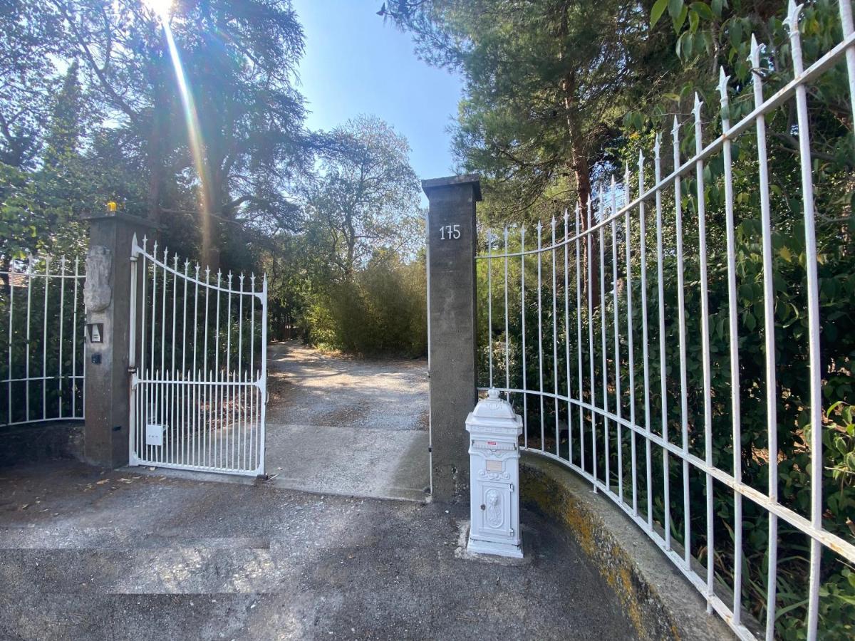 Villa Chez Papy Charles Carcasona Exterior foto